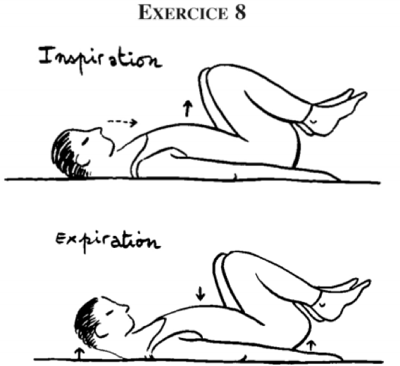 exercice muscle droit