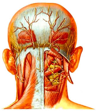 cause-cervicalgie